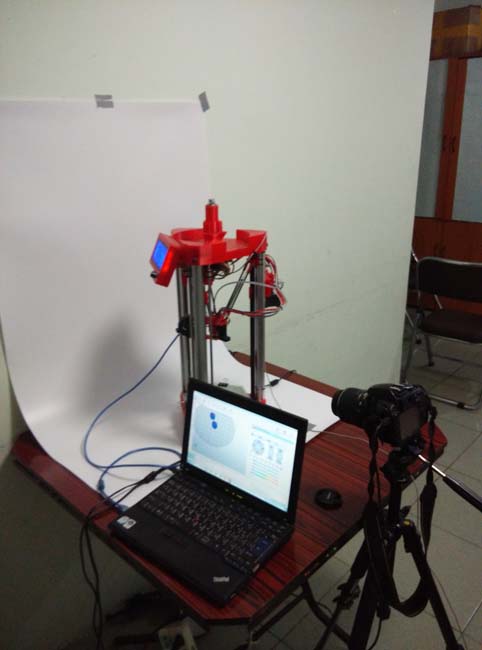 sliced light color  4